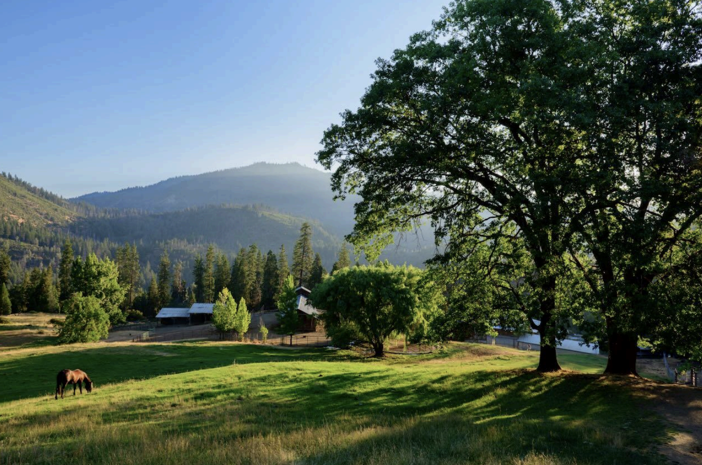 Bar 717 Ranch/Camp Trinity — Occupation Wild